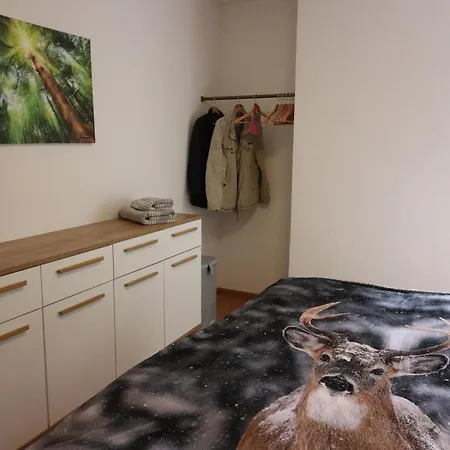 Happy Harz Apartment