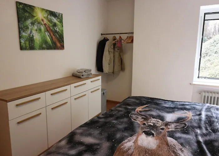 Happy Harz Apartment